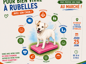 Animation au marché de Rubelles le jeudi 25 juin