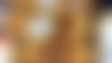 Repas des ainés 2025