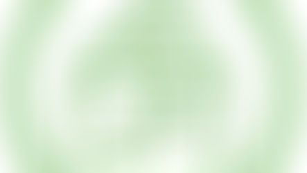 Elections municipales 2026