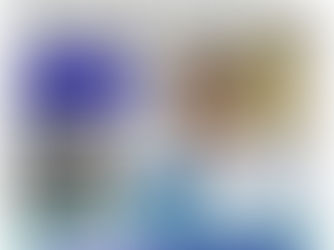 France Services 2022