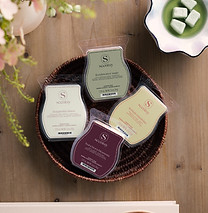 2026 Scentsy Bars 