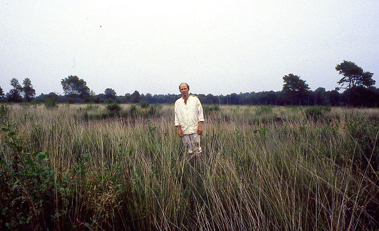 3. FallingMoor-colorcorrect.jpg