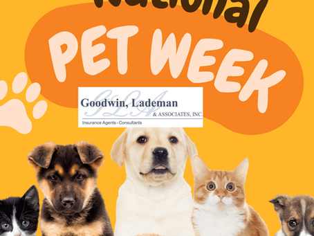 It's Pet Week!