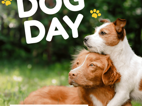 Celebrating National Dog Day: Honoring Our Loyal Companions
