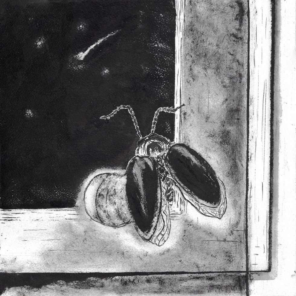 firefly insta small