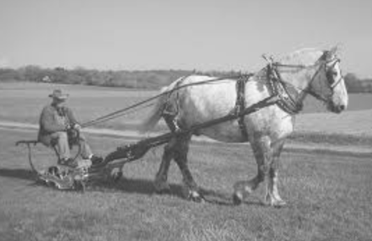 The first riding lawn mowers were horse drawn machines.