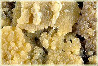 close up of tartrate crystals