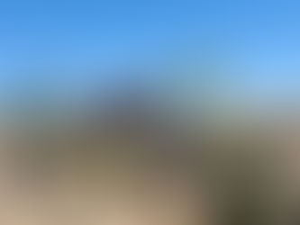 A New View Around the Corner: Our Waterfall Makeover