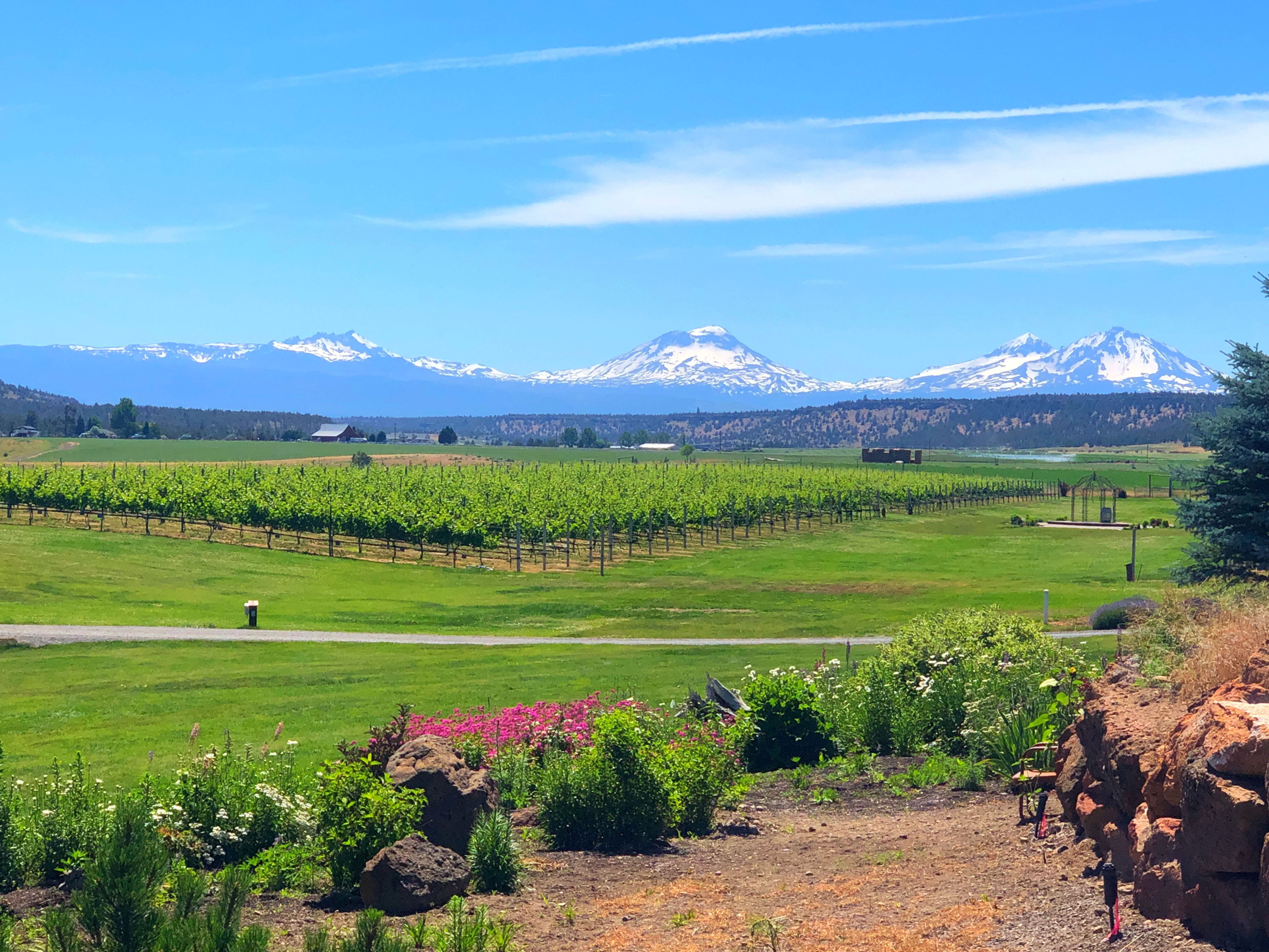 Winary & Vinetard Tour