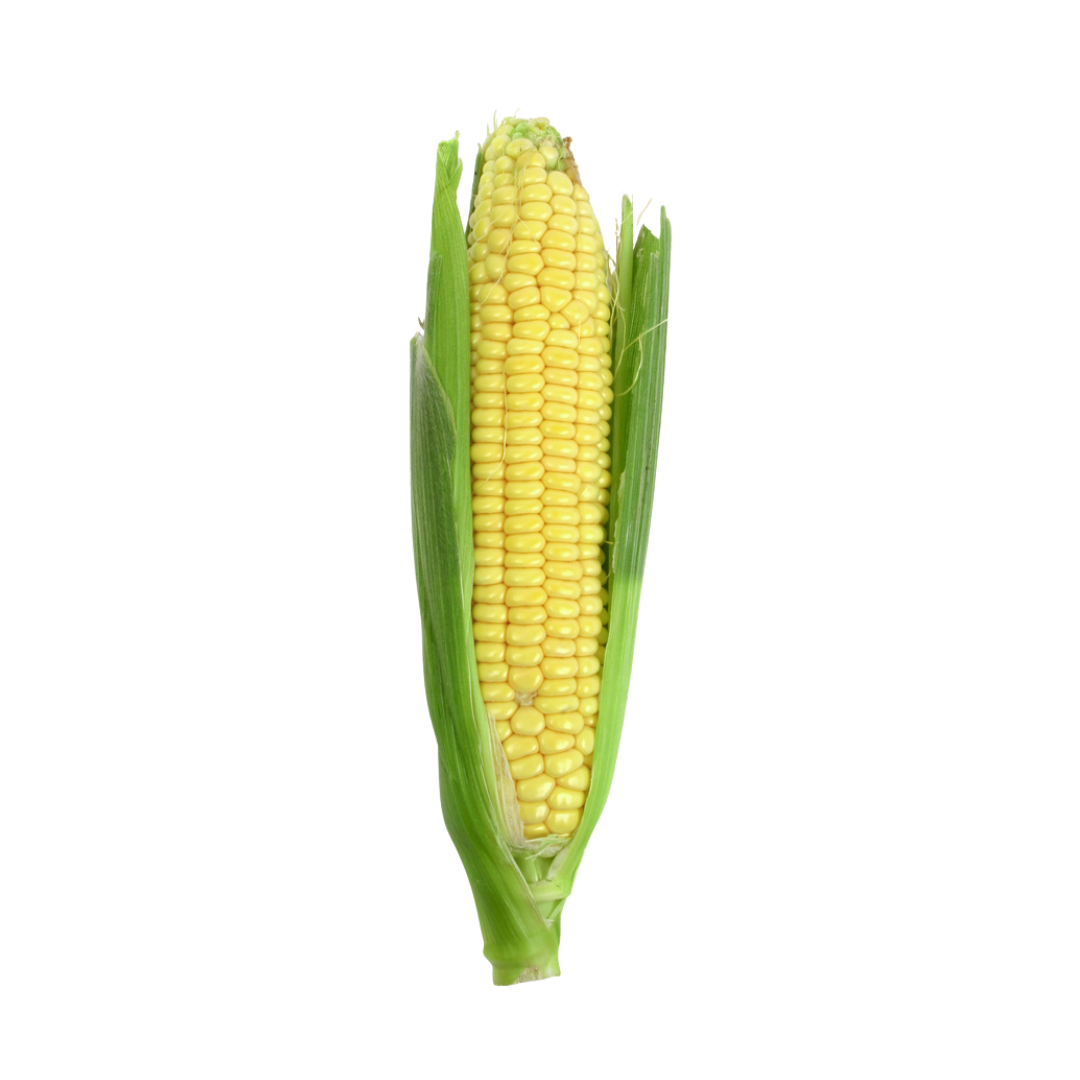 SA Local - Organic Sweet Corn