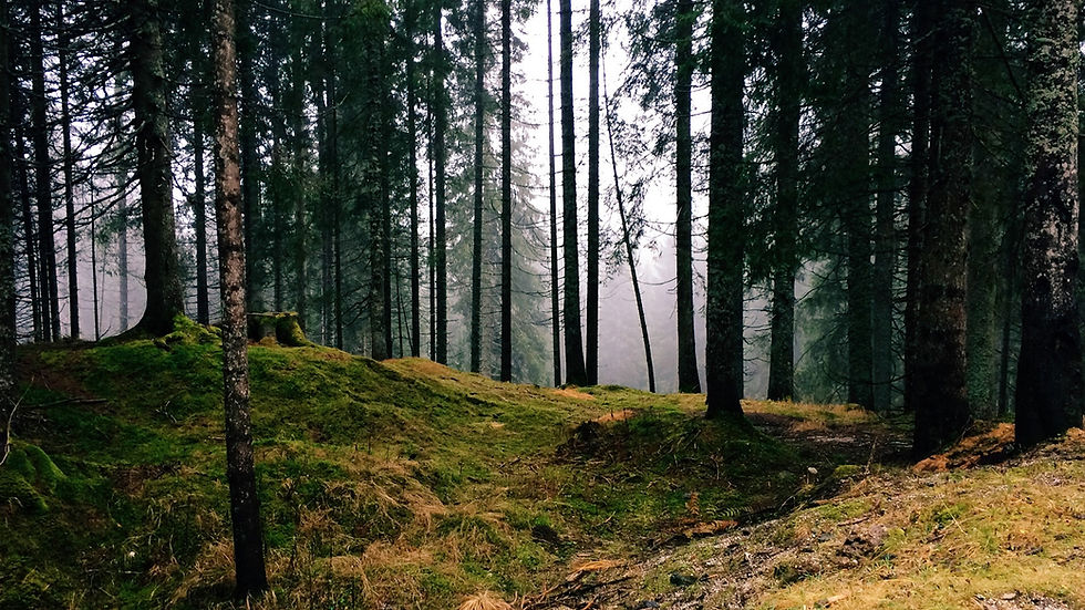 Here I Am Background.jpg