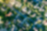 lightstock_352589_full_user_43200507.jpg