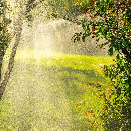 Improved soil biology helps capture water
