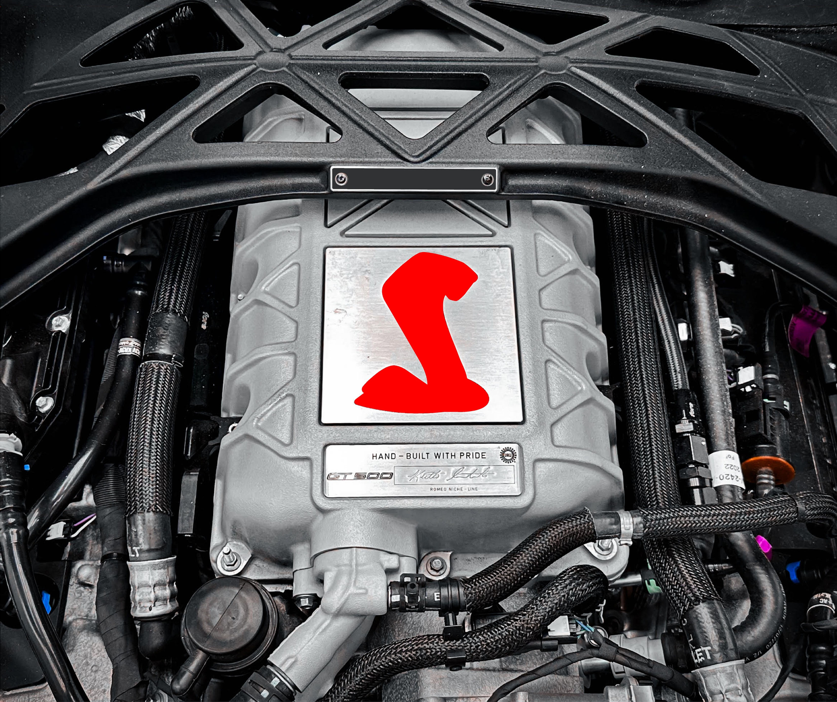 2020-2022 GT500 supercharger snake vinyl overlay in red