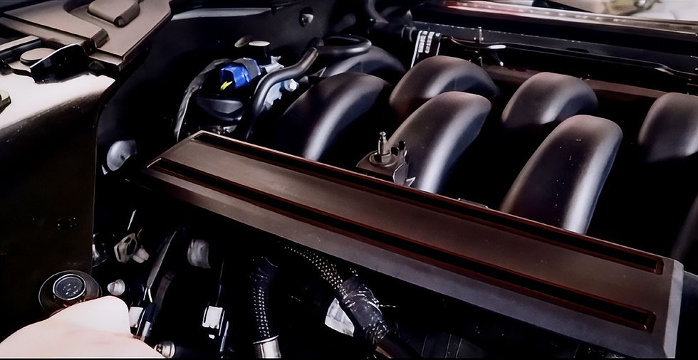 Thumbnail: S550 M1 fuel rail cover overlays in black
