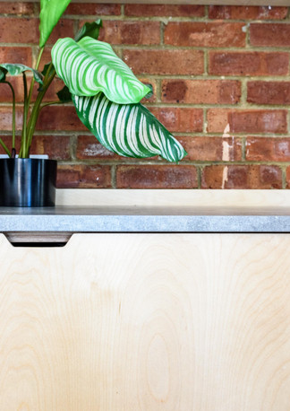 Bespoke birch ply kitchen