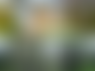 Outlander in Scotland: 5 Must-Visit Filming Locations