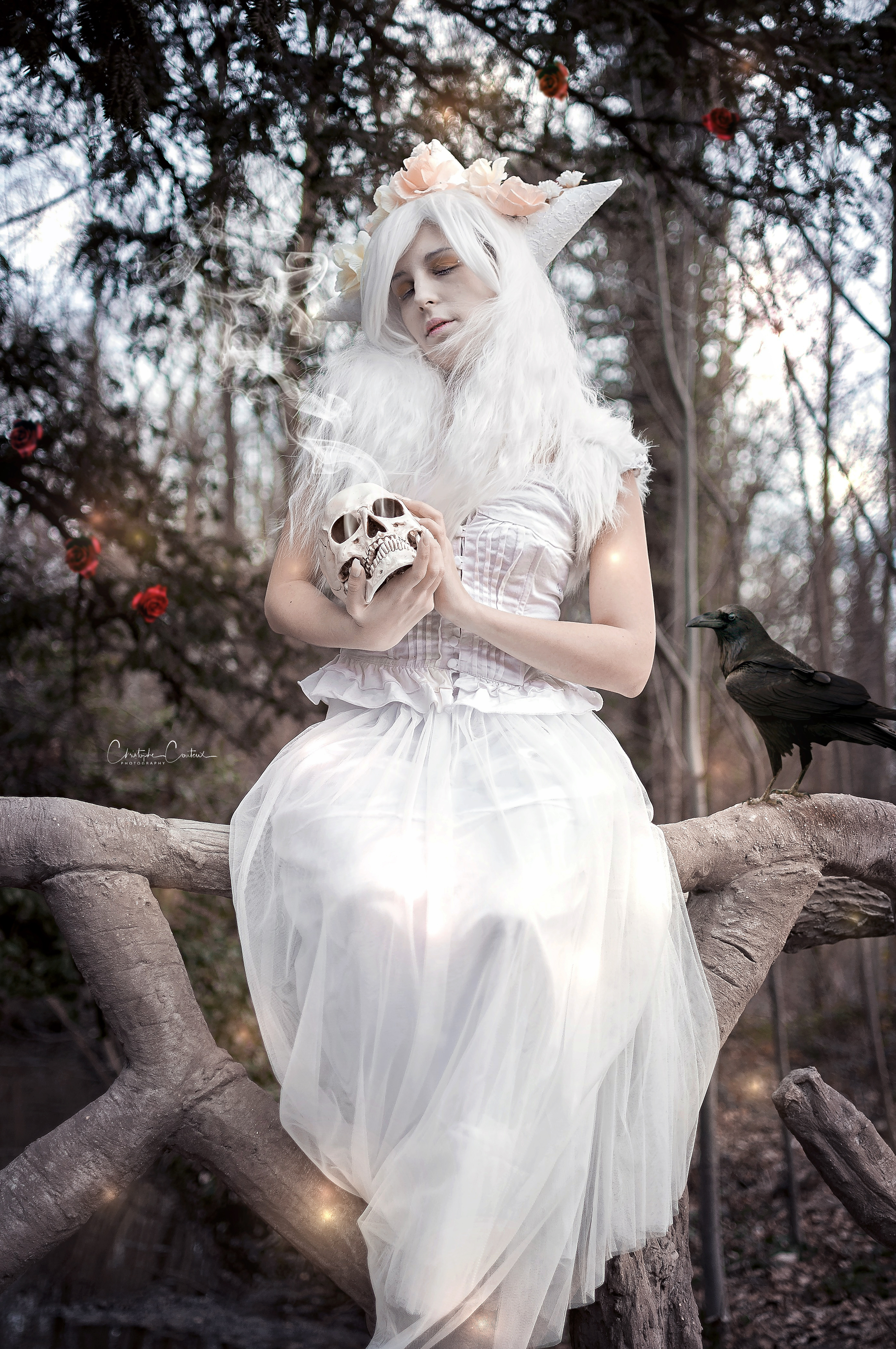 Dame Blanche