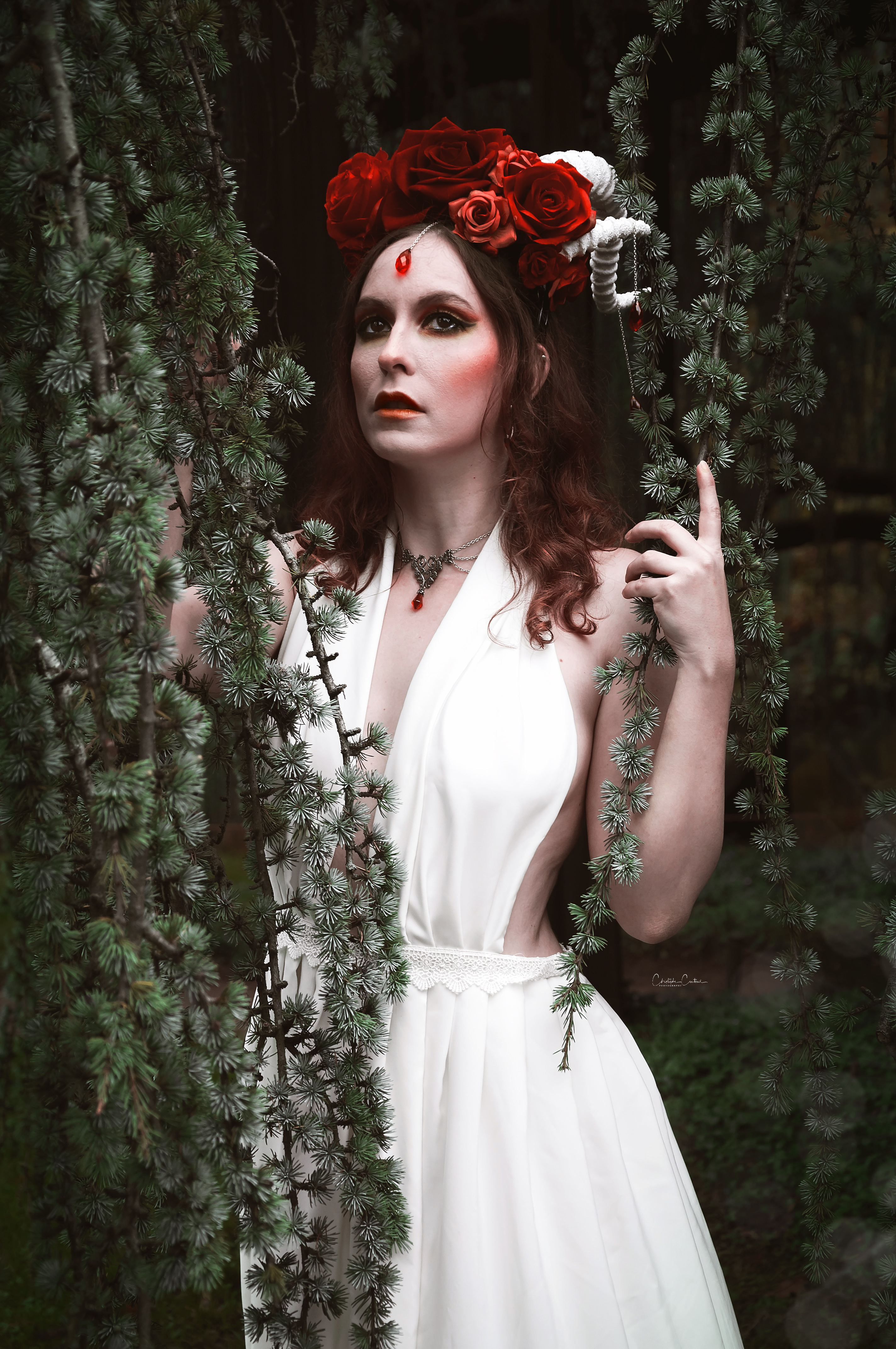 ALICE