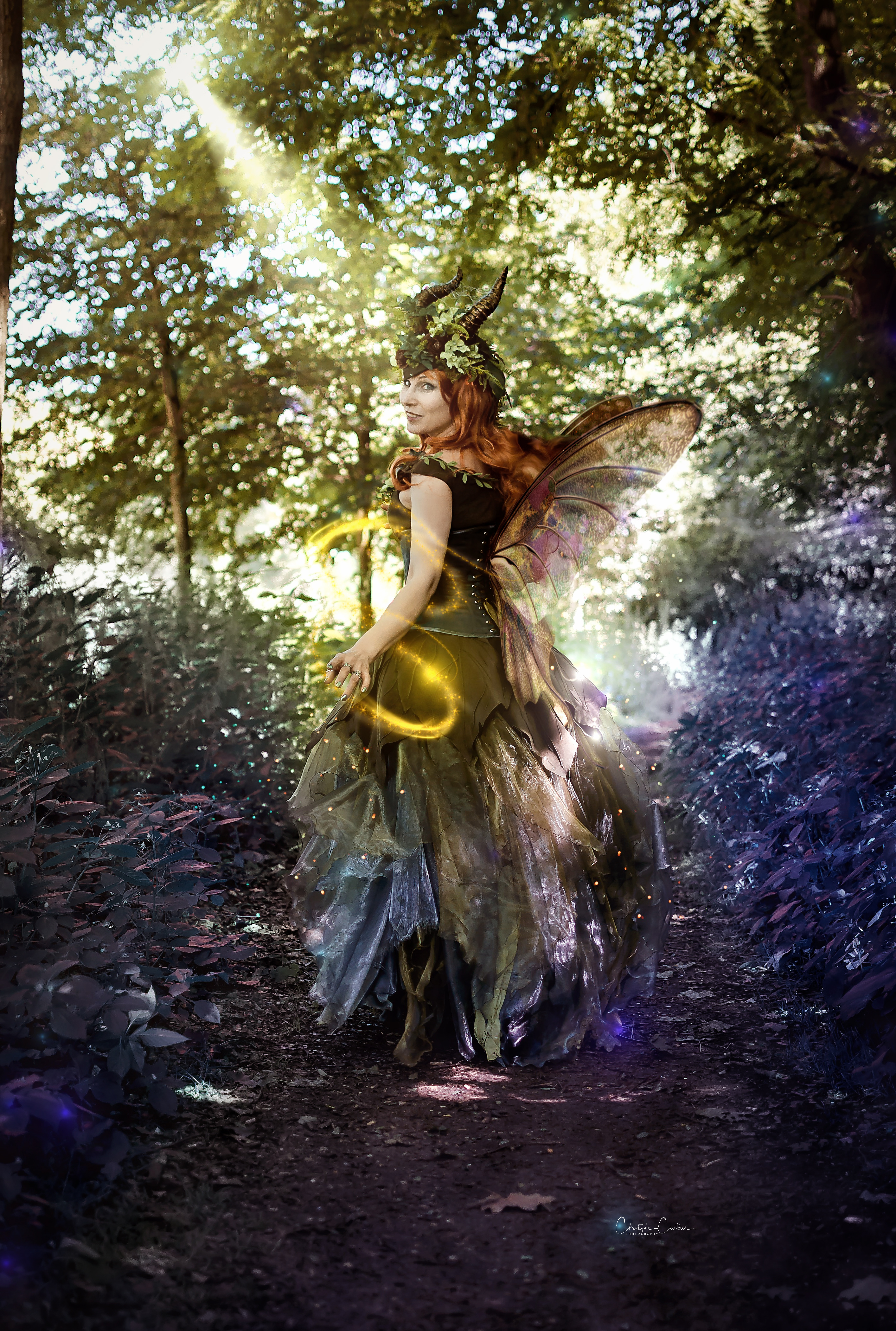 Papillon