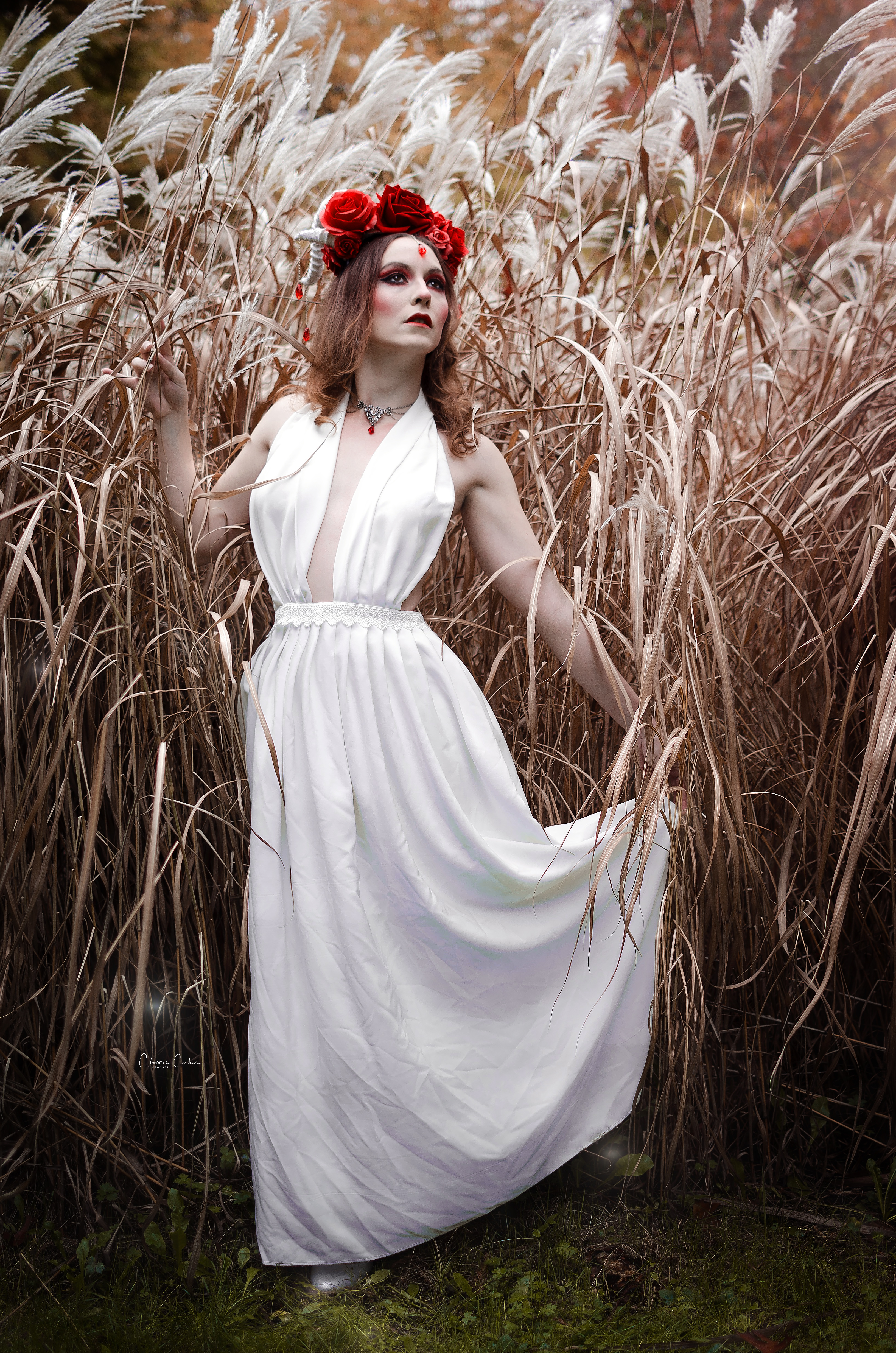 Les Songes d'Alice