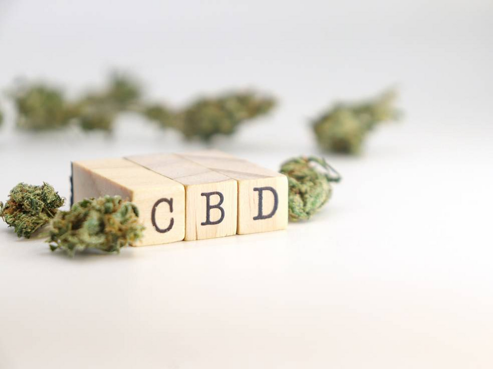 fleur ou résine de CBD