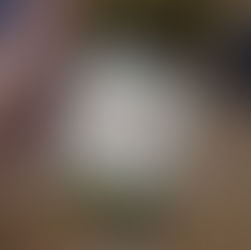 Le Petit Ballon, j'ai testé la box de vin par abonnement