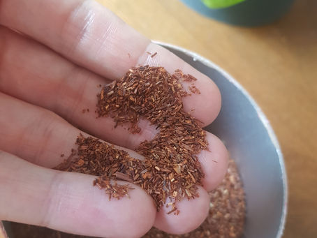 Le Rooibos : connaissez-vous ses bienfaits ?