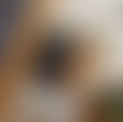 Le polo, une pièce incontournable du dressing masculin