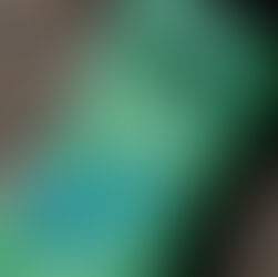 Hawaiian Tropic à la plage