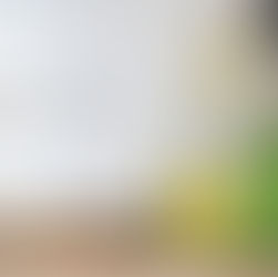 Comment bien choisir votre produit au CBD ?