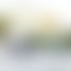 Comment avoir une belle terrasse californienne, mes conseils