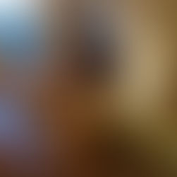 Rénovation de l'appartement, c'est parti !