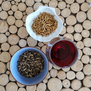 Jimini's : mon avis sur les insectes comestibles à l'apéritif