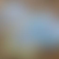 Masque visage Egg Cream Mask de Too Cool For School, mon avis