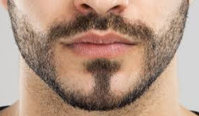 barbe mouche.jpg