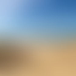 Après le confinement, destination les Landes pour prendre l’air