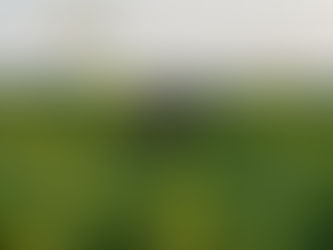 Soin au lait d'ânesse : l'allié beauté de l'homme moderne ?