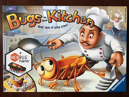 hex bugs in the kitchen