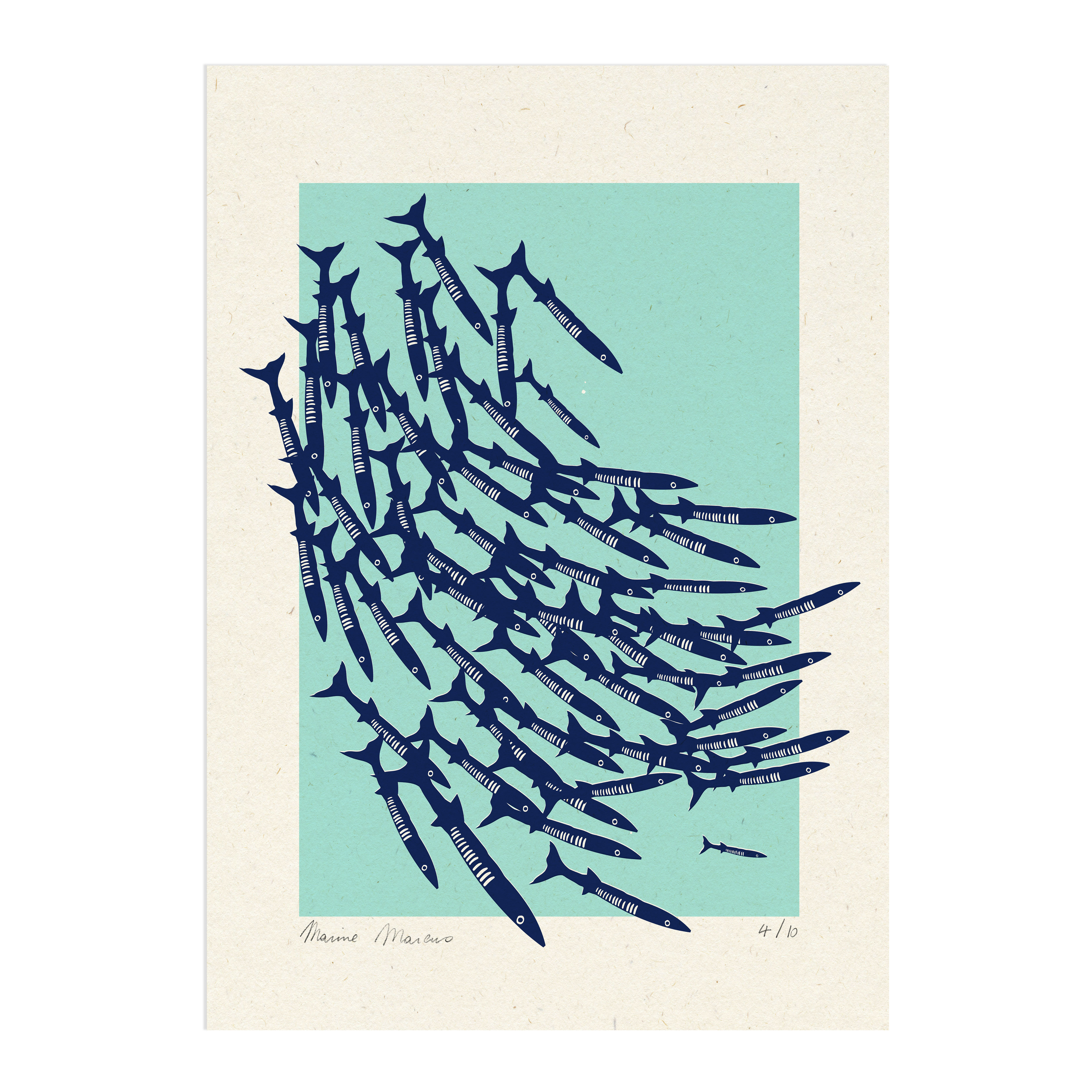 Barracuda - Edition Limitée - Sérigraphie