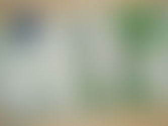 ANF: maggiorazione degli importi e nuovi livelli reddituali