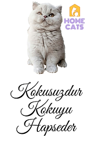 0001-17534276679_20210227_163050_0000.pn