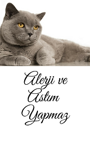 0001-17533880062_20210227_161619_0000.pn