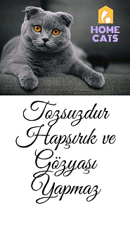 0001-17533936686_20210227_161828_0000.pn