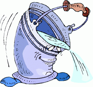 Bucket Test Photo.gif