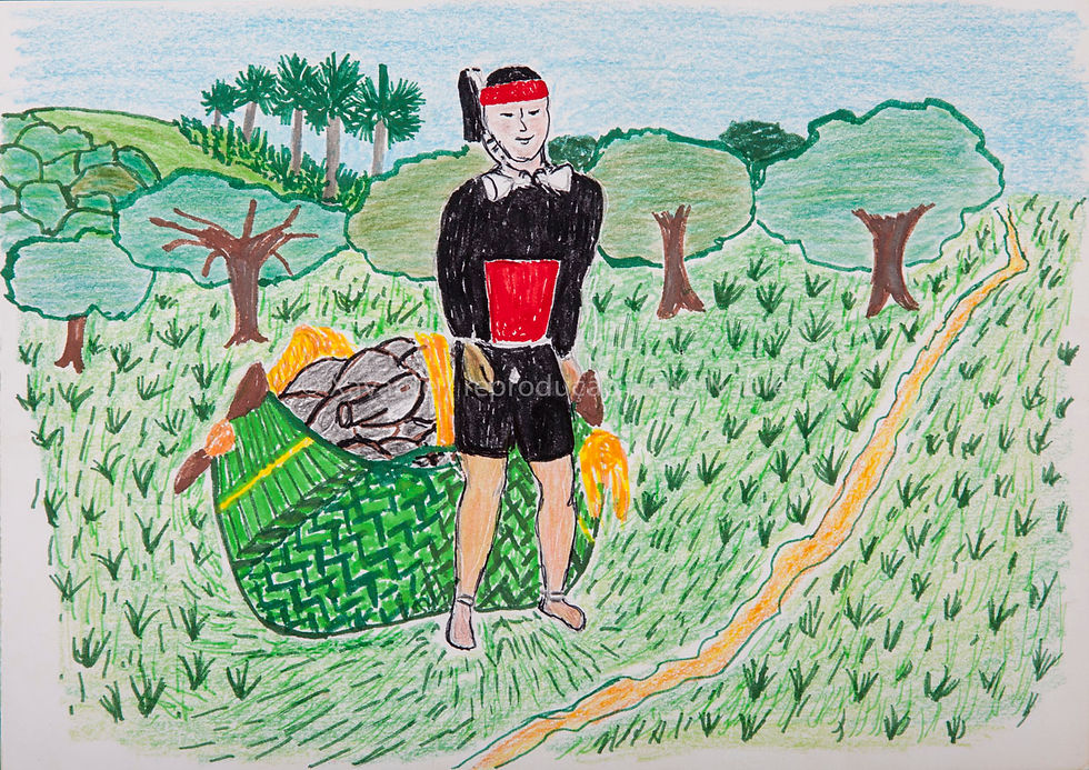 HN5995_desenho_xavante