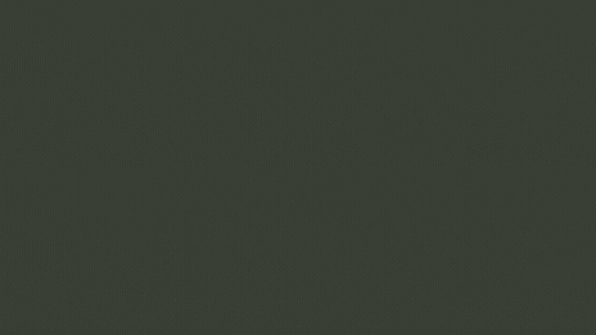 Black and White Merry Christmas Greeting Video (2).gif