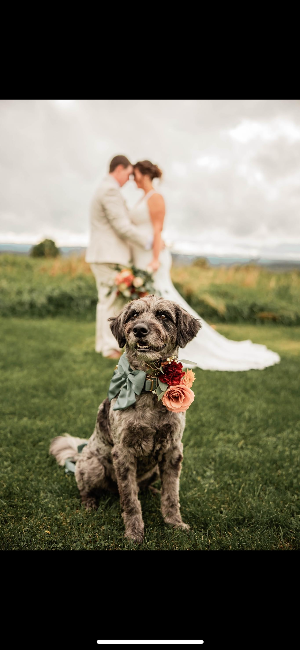 Thumbnail: Wedding