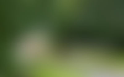 Tulliallan Police College