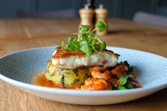 Fish of the day_1a.jpg